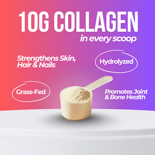 Zyragen Collagen powder in a scoop with text highlighting benefits on a gradient background