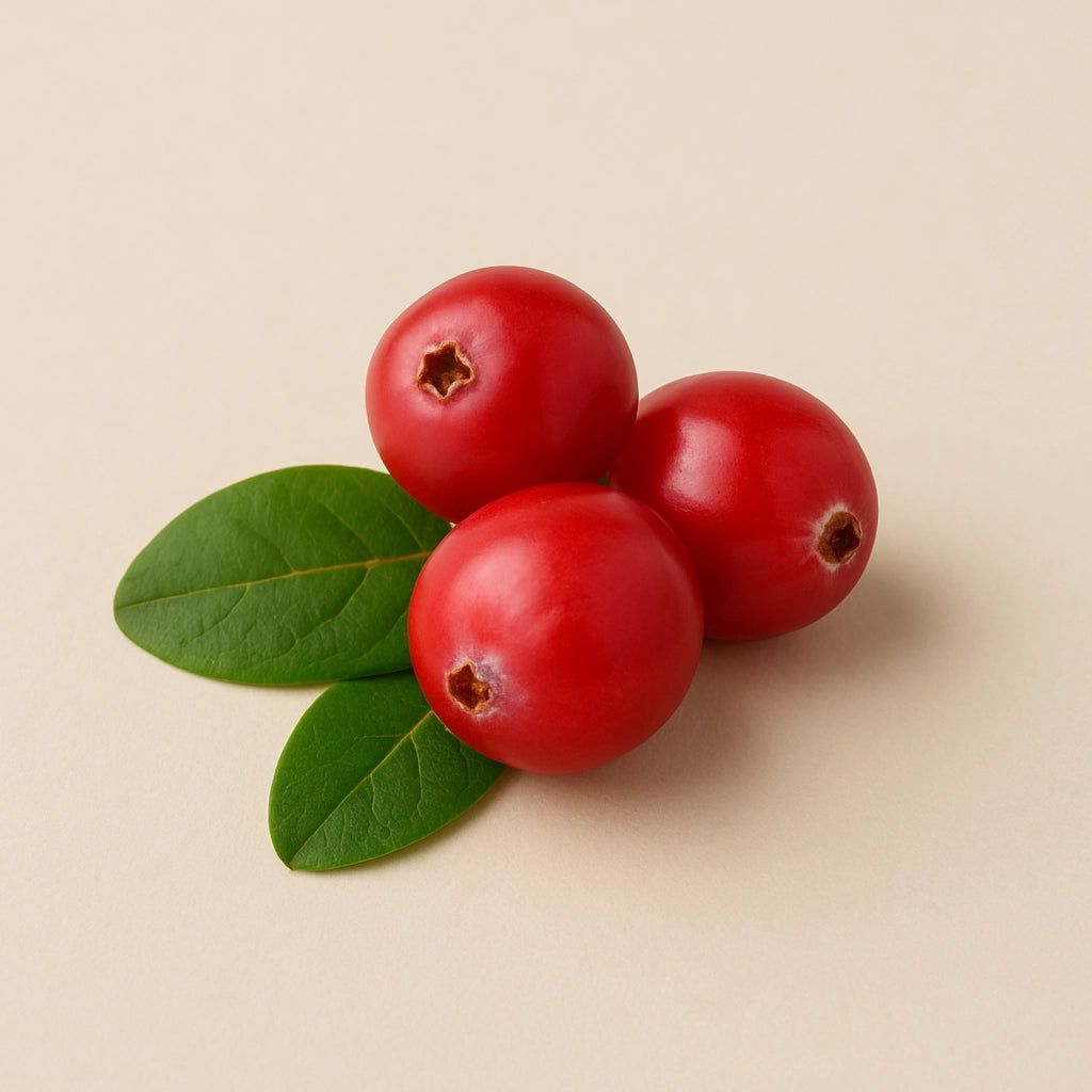 Cranberries on light background