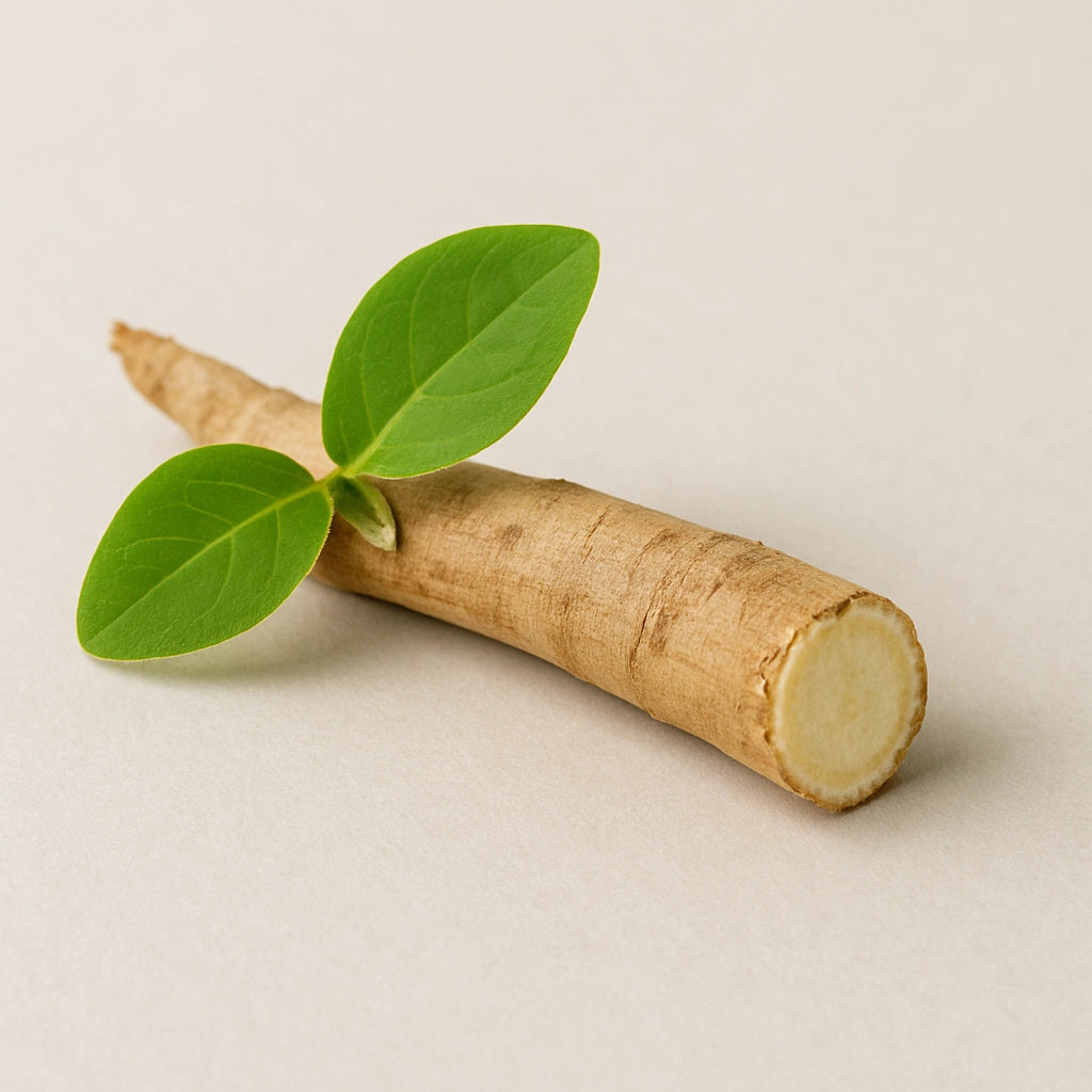 Ashwaganda root on light background