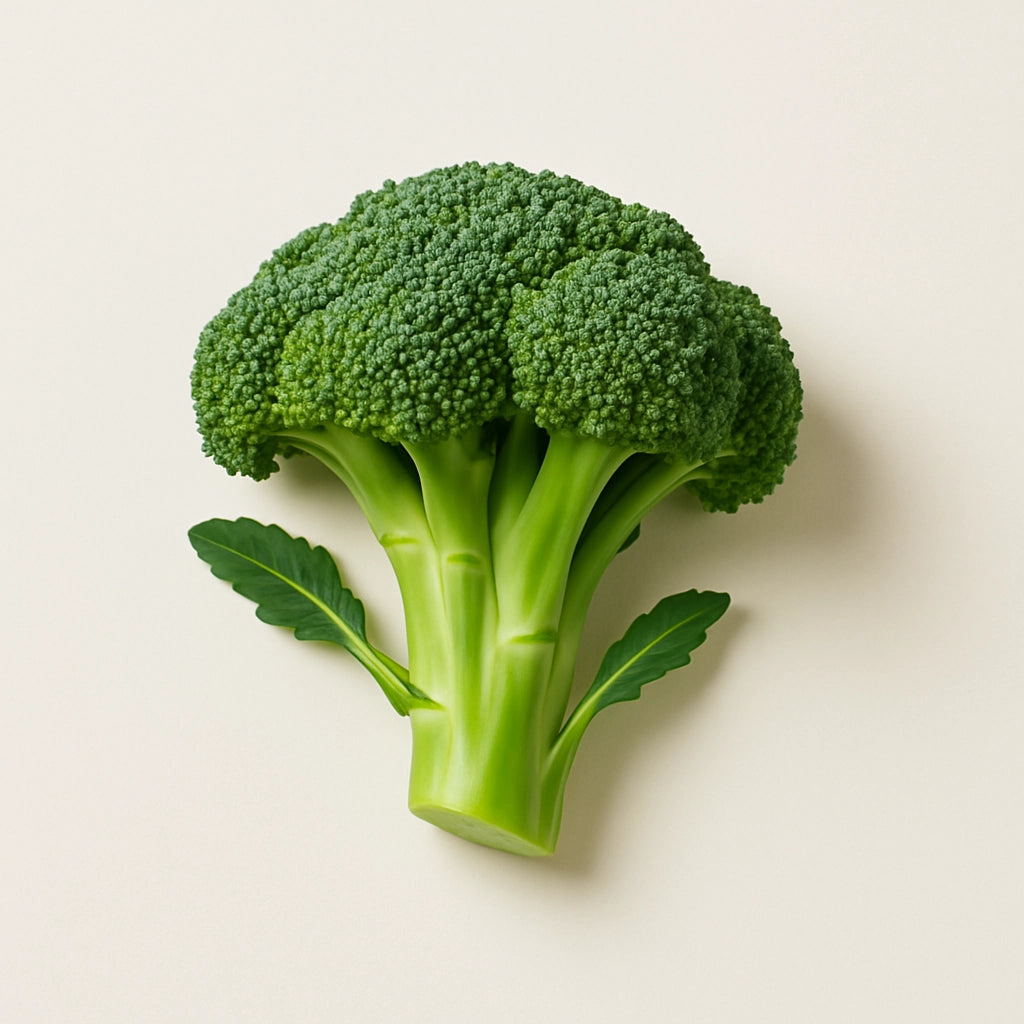 Broccoli on a light background