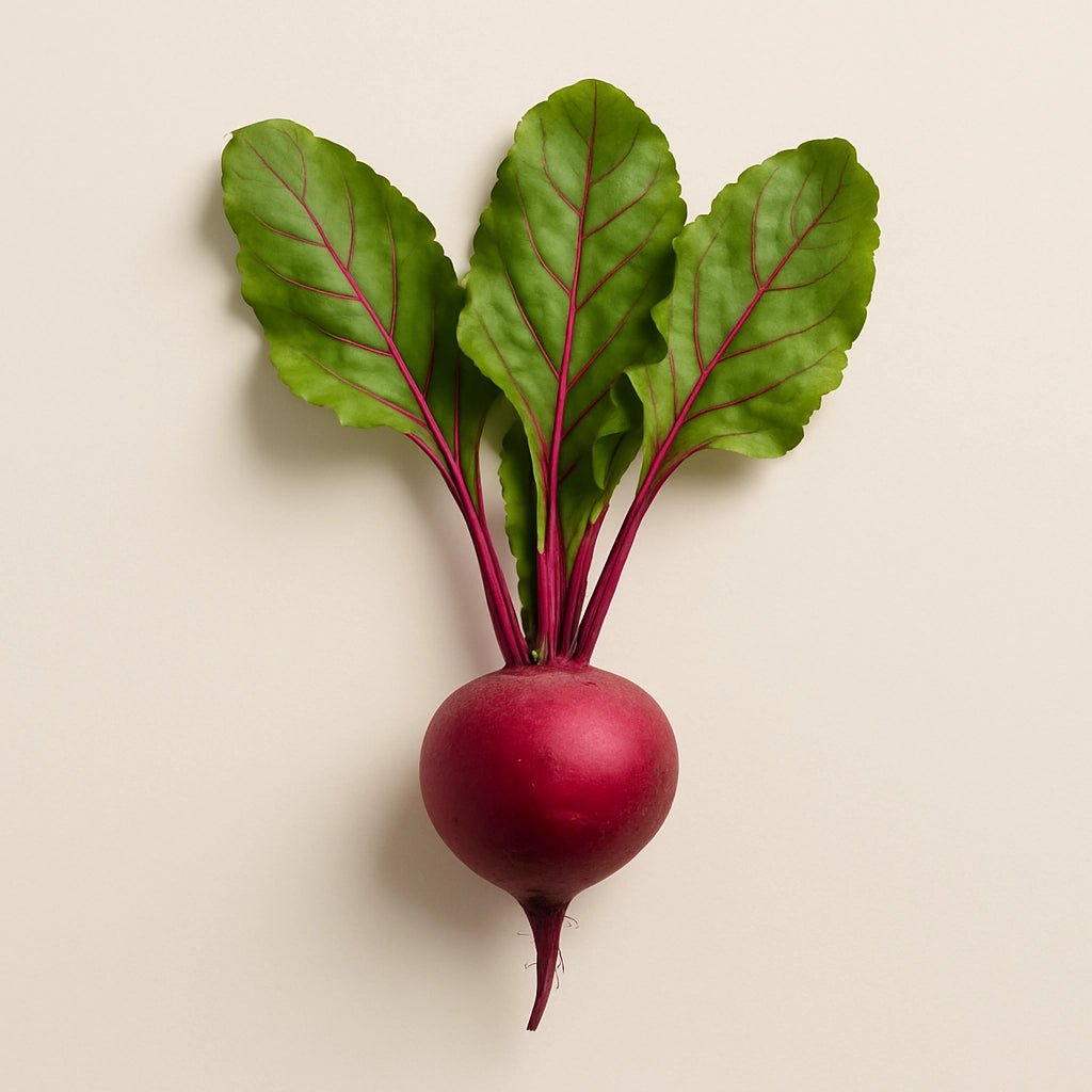 Beetroot on light background